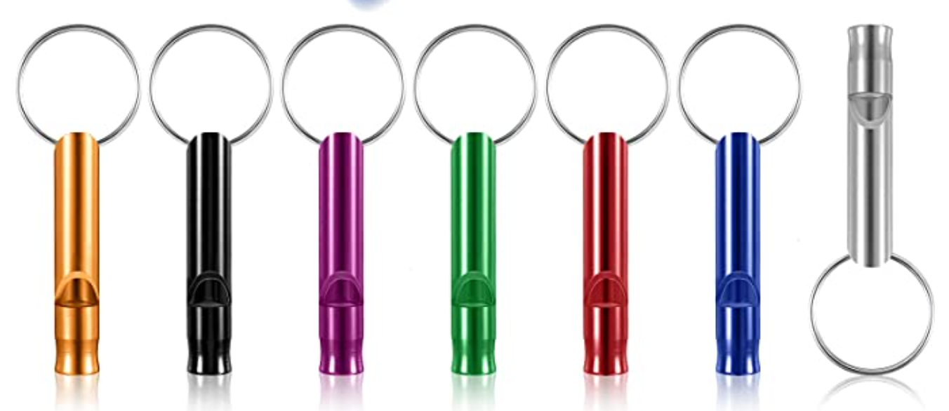 Whistle